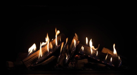 Газовый камин Schmid Ekko G L (R) 100