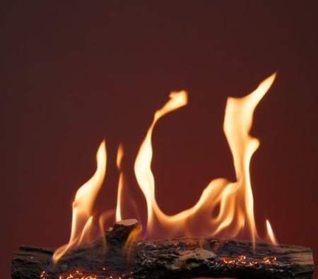 Биокамин Airtone LOG 600 steel по цене 298 000 руб.